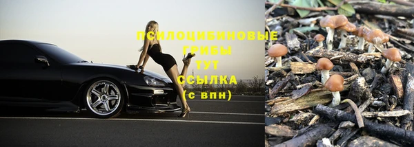 мяу мяу кристалл Алексин